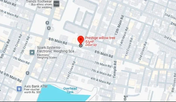 Featured Image of Prestige Willow Tree Location